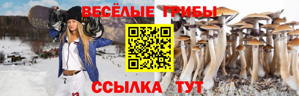 Галлюциногенные грибы мицелий Кемерово